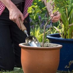 Garden Care Shop -Garden Care Shop 1002024 1