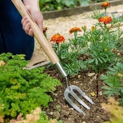 Garden Care Shop -Garden Care Shop 1031064 1