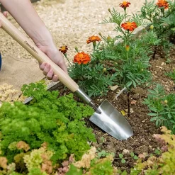 Featured Products -Garden Care Shop 1031065 1