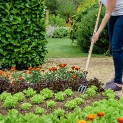 Garden Care Shop -Garden Care Shop 1031071 1