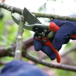 Wilkinson Sword Folding Pruner Saw & Pruner Set -Garden Care Shop 1140375 2