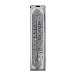 Fallen Fruits Thermometer 50Cm Zinc