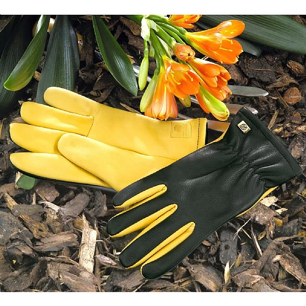 Gold Leaf Ladies Dry Touch Gloves 1 Gold Leaf Ladies Dry Touch Gloves