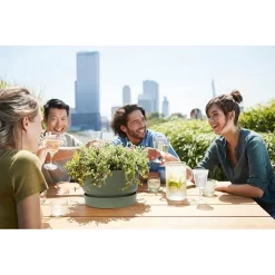 Elho 33cm Leaf Green Greenville Bowl Planter -Garden Care Shop 8711904332464 5