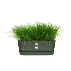 Elho 70cm Living Concrete Greenville Trough Long -Garden Care Shop 8711904357764 4
